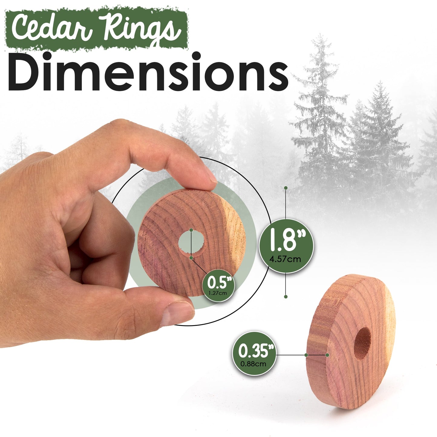 Cedar Rings